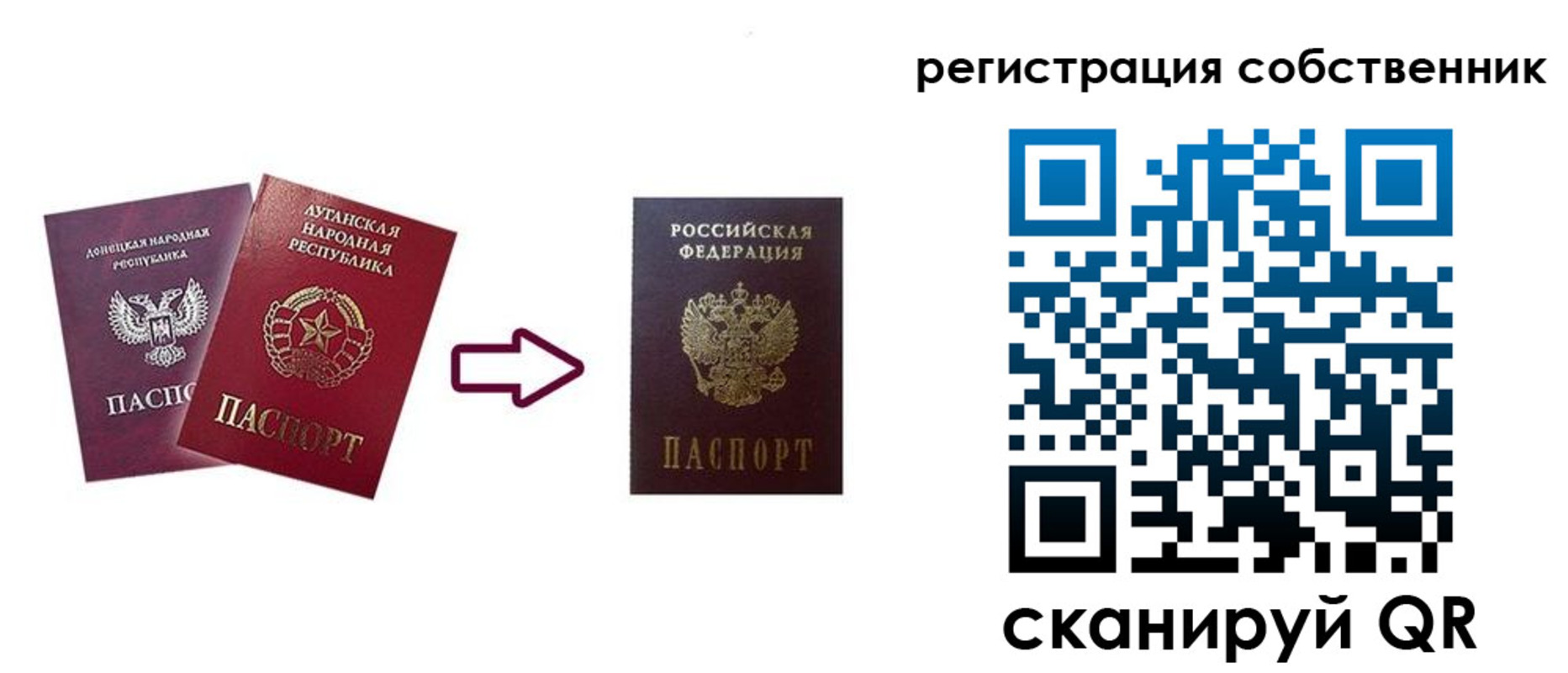 прописка для школы в Пушкино